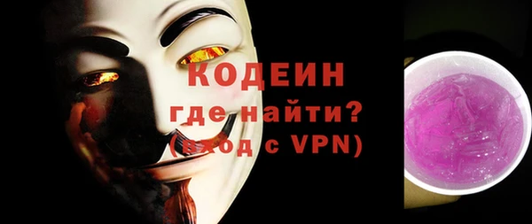 apvp Галич