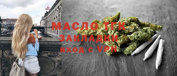 гашик Гатчина