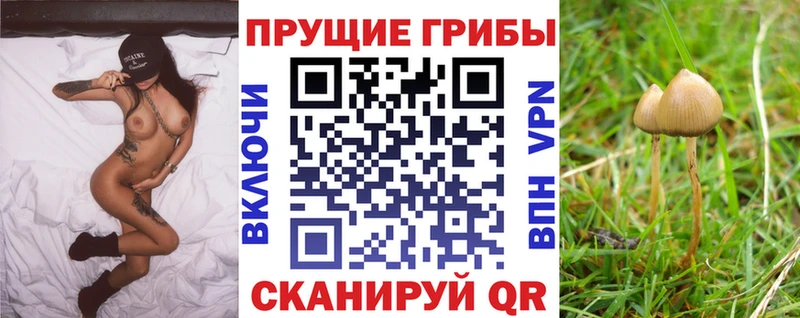Галлюциногенные грибы мухоморы  Макарьев 